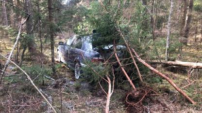 Attēls rakstam: Mednieks Aivars Ropažu novada mežā atradis nomaskētu Siguldā nozagto BMW