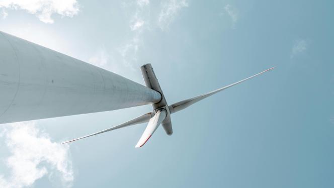 Attēls rakstam: Melnis: Politikas veidotājiem nevajadzētu lemt par vēja parku projektiem