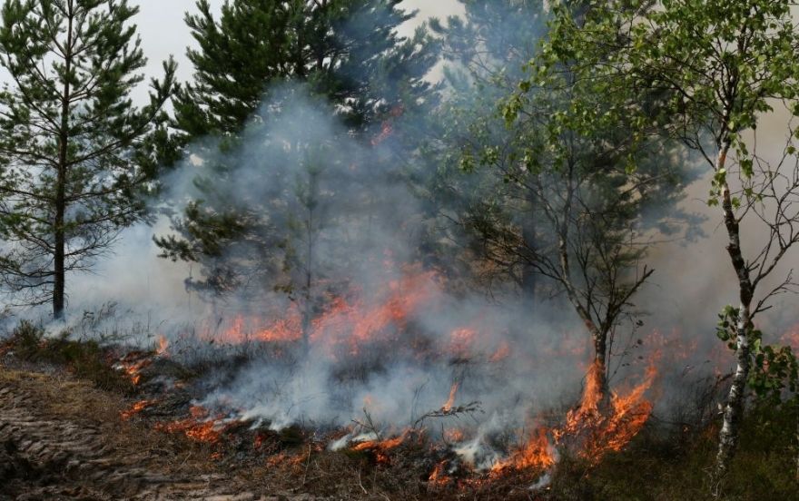 Mēneša laikā Latvijā notikuši 106 meža ugunsgrēki