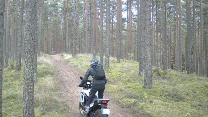 Attēls rakstam: Motobraucēji ārdās Ropažu novada mežos! Policija sākusi rīkoties