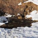 Attēls rakstam: Nākamnedēļ dienās gaidāma pozitīva gaisa temperatūra