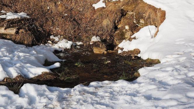 Attēls rakstam: Nākamnedēļ dienās gaidāma pozitīva gaisa temperatūra