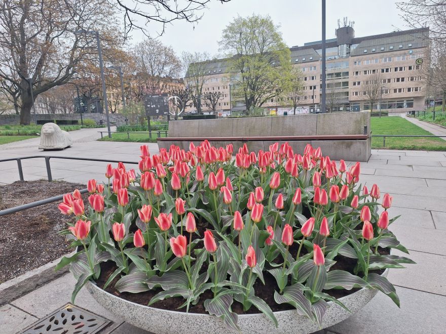 Nākamnedēļ gaisa temperatūra Latvijā var sasniegt +15 grādus