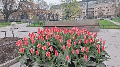 Attēls rakstam: Nākamnedēļ gaisa temperatūra Latvijā var sasniegt +15 grādus