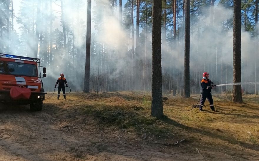 Nākamnedēļ Latvijā sākas meža ugunsnedrošais periods