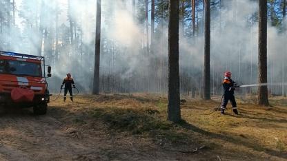 Attēls rakstam: Nākamnedēļ Latvijā sākas meža ugunsnedrošais periods