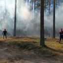 Attēls rakstam: Nākamnedēļ Latvijā sākas meža ugunsnedrošais periods
