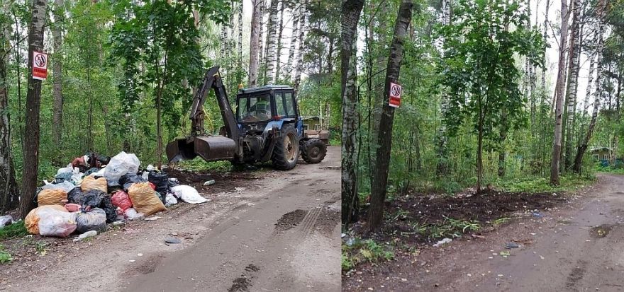 Nedēļas laikā "Rīgas mežu" darbinieki Pierīgas mežos savākuši gandrīz 10 tonnu atkritumu