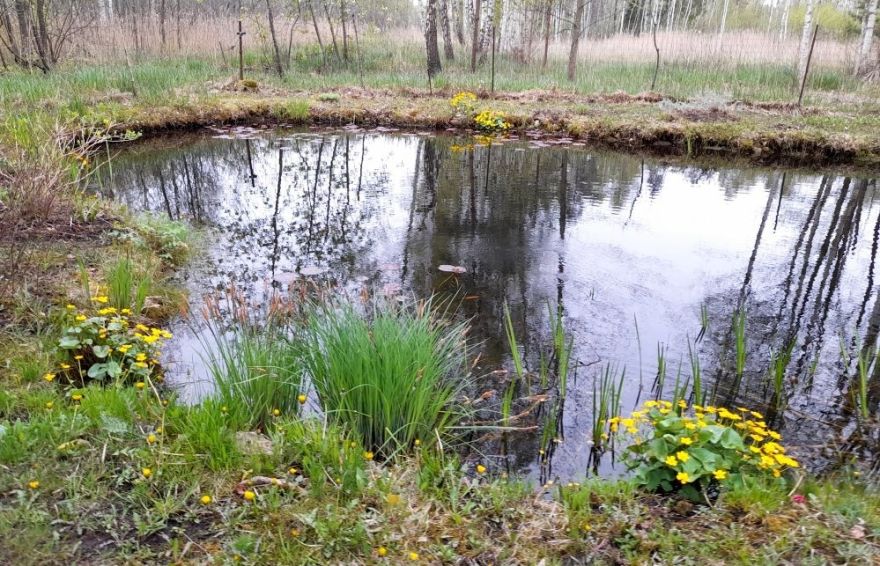 Nedēļas nogale būs vēsa, daudzviet īslaicīgi līs