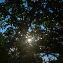 Attēls rakstam: Nedēļas nogalē laikapstākļi lutinās ar sauli