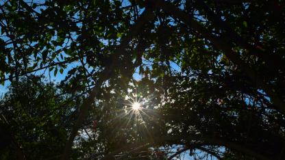 Attēls rakstam: Nedēļas nogalē laikapstākļi lutinās ar sauli