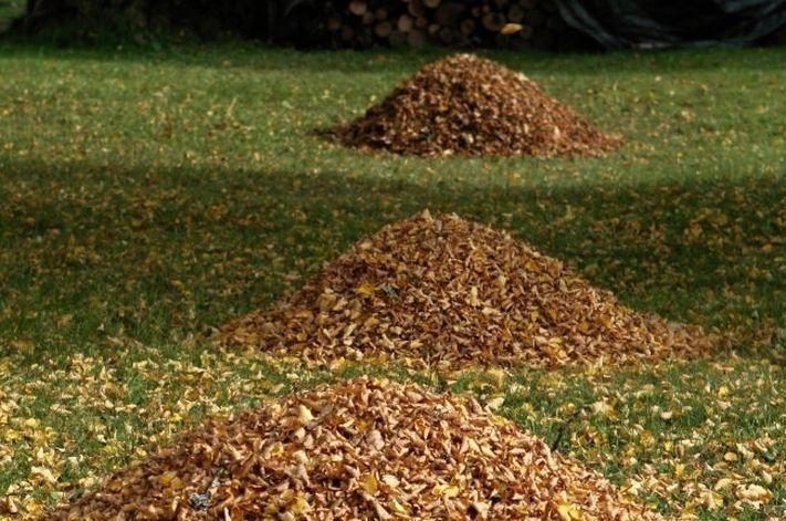 Nedēļas nogalē laiks kļūs saulaināks un dzestrāks