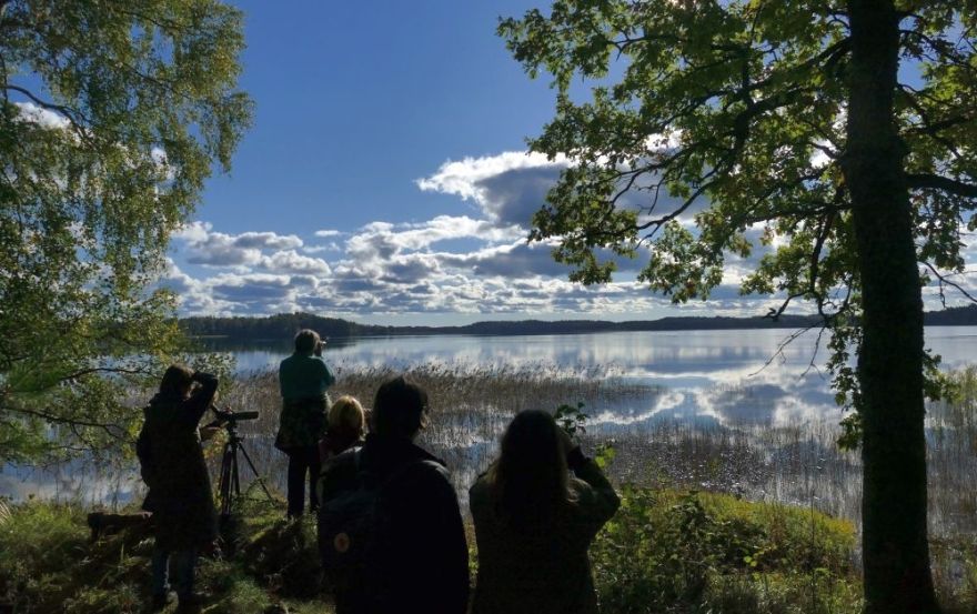 Nedēļas nogalē Latvijā novēroti 89 tūkstoši putnu, Eiropā – vairāk nekā 3,5 miljoni