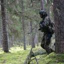 Attēls rakstam: Nedēļas nogalē Mārupes un Olaines novadā notiks karavīru apmācības