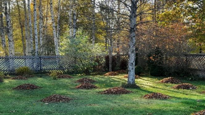 Attēls rakstam: Nedēļas sākumā gaidāmi mainīgi laikapstākļi