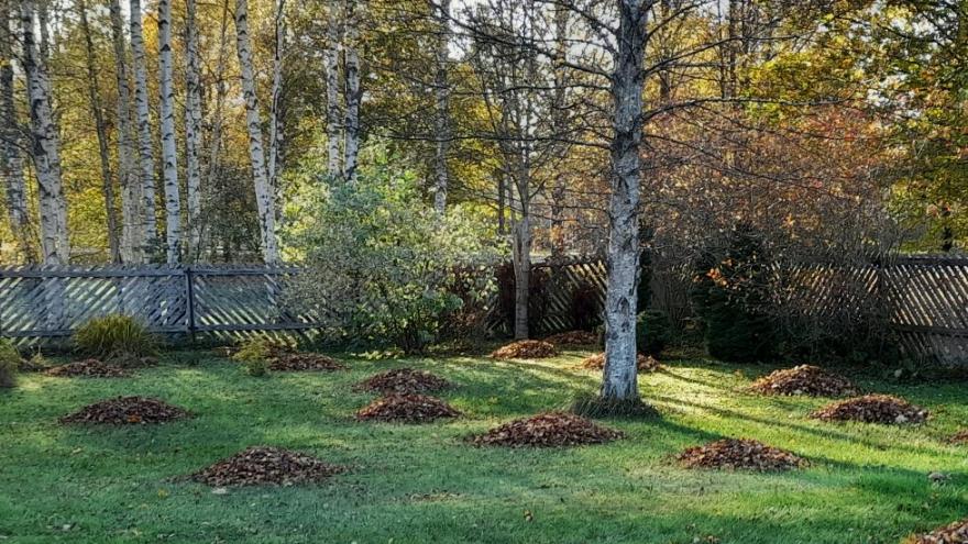Attēls rakstam: Nedēļas sākumā gaidāmi mainīgi laikapstākļi