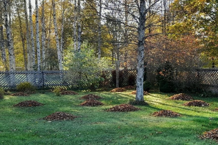 Nedēļas sākumā gaidāmi mainīgi laikapstākļi