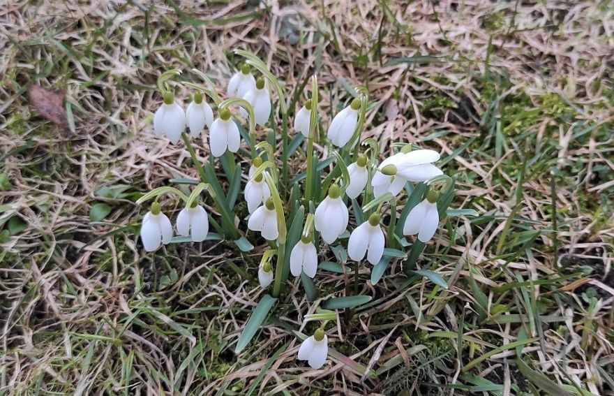 Nedēļas sākumā gaidāmi nokrišņi, bet otrajā pusē – saule