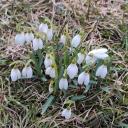 Attēls rakstam: Nedēļas sākumā gaidāmi nokrišņi, bet otrajā pusē – saule