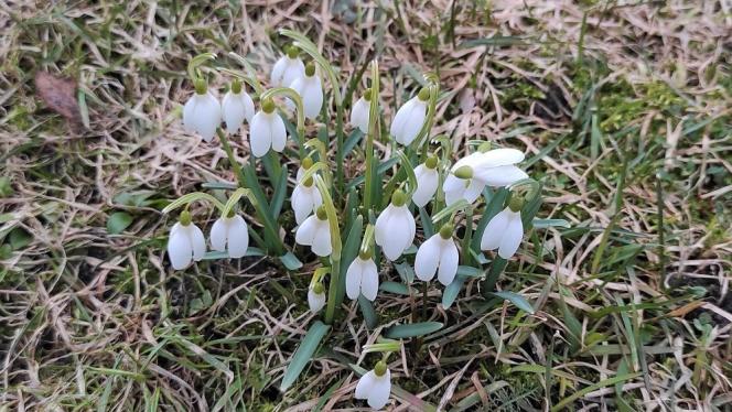 Attēls rakstam: Nedēļas sākumā gaidāmi nokrišņi, bet otrajā pusē – saule