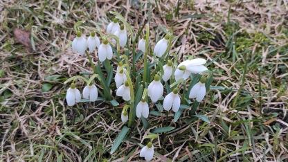 Attēls rakstam: Nedēļas sākumā gaidāmi nokrišņi, bet otrajā pusē – saule