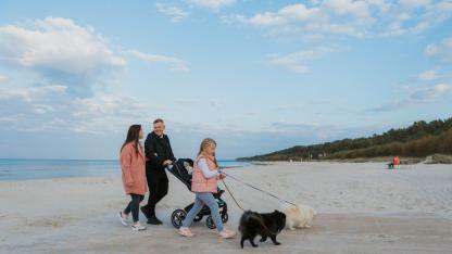 Attēls rakstam: No 1. aprīļa Jūrmalas pludmalē ar suņiem uzturēties aizliegts