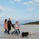 Attēls rakstam: No 1. aprīļa Jūrmalas pludmalē ar suņiem uzturēties aizliegts