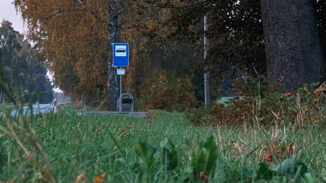 Attēls rakstam: No 5. oktobra mainīs autobusu kustības sarakstus Saulkrastu apkārtnē