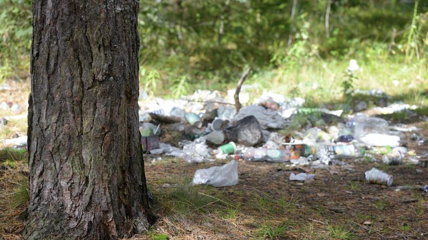 Attēls rakstam: No būvgružiem līdz riepām: kā dažādi atkritumi ietekmē vidi un kā no tiem pareizi atbrīvoties