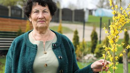 Attēls rakstam: No nejaušības līdz aicinājumam — dzīve, kas veltīta cilvēku sapratnei caur socioniku