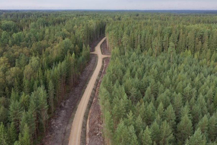 No zviedriem atpakaļ Latvijai: LVM par 26 miljoniem eiro veic vēsturē lielāko mežu pirkumu Latgalē
