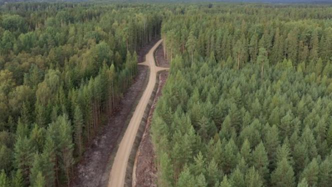 Attēls rakstam: No zviedriem atpakaļ Latvijai: LVM par 26 miljoniem eiro veic vēsturē lielāko mežu pirkumu Latgalē