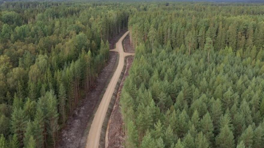Attēls rakstam: No zviedriem atpakaļ Latvijai: LVM par 26 miljoniem eiro veic vēsturē lielāko mežu pirkumu Latgalē