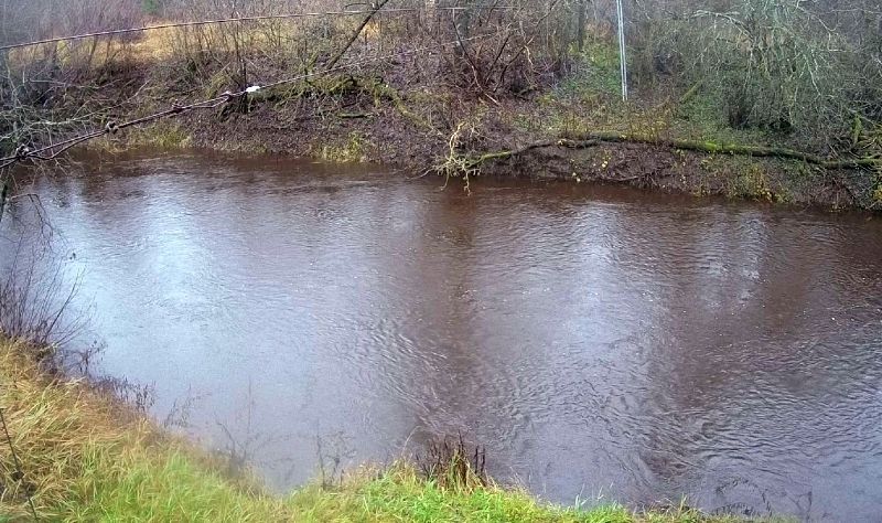 Nokrišņu ietekmē upēs paaugstinās ūdens līmenis