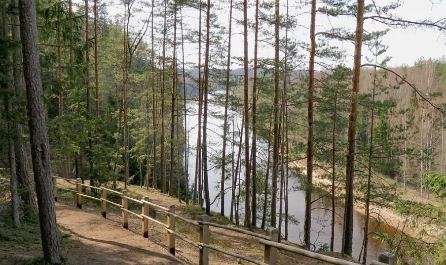 Notiks tiešsaistes seminārs par Gaujas Nacionālā parka meža apsaimniekošanas plānu