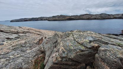 Attēls rakstam: Novēģu kristiešu deklarācija “par dzimtes un seksuālo daudzveidību"