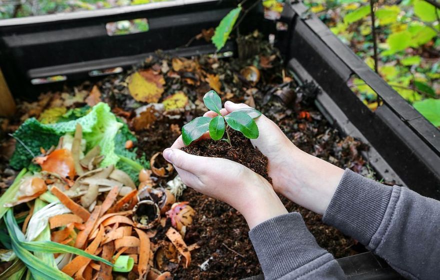 Olainē plānots veidot bioloģiski noārdāmo atkritumu kompostēšanas laukumu