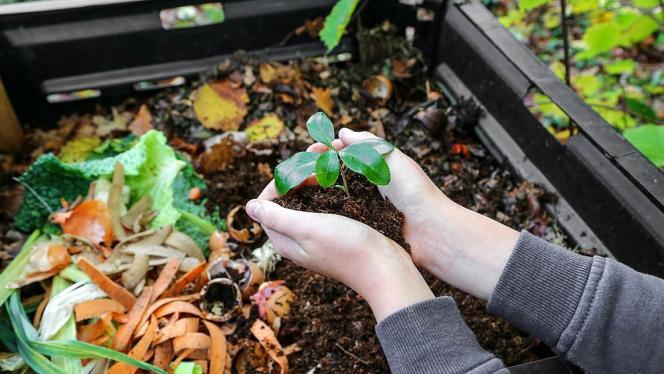 Attēls rakstam: Olainē plānots veidot bioloģiski noārdāmo atkritumu kompostēšanas laukumu