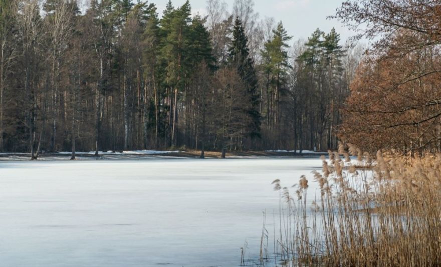 Olaines novadā sāks Mežezera dienvidu krasta pastaigu takas labiekārtošanas darbus