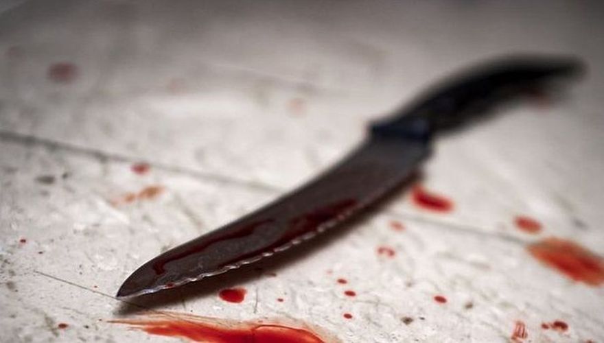 Paķēra nazi un iedūra. Policija pabeigusi izmeklēšanu nogalinātā suņa lietā Jūrmalā