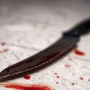 Attēls rakstam: Paķēra nazi un iedūra. Policija pabeigusi izmeklēšanu nogalinātā suņa lietā Jūrmalā