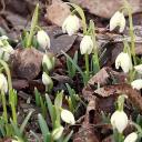 Attēls rakstam: Pārspēts 12. marta siltuma rekords Latvijā