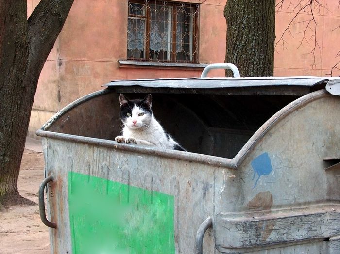 Pašvaldībām ar likumu no atkritumu biznesa būs jāizstumj "liekie"