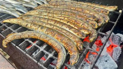 Attēls rakstam: Pāvilostā tradicionālo reņģi izkonkurē Sakas nēģi