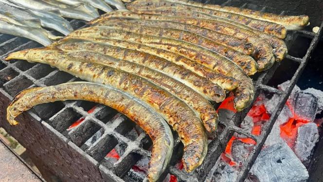Attēls rakstam: Pāvilostā tradicionālo reņģi izkonkurē Sakas nēģi