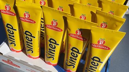 Attēls rakstam: Pēc 65 gadiem pārmaiņas – leģendārās igauņu sinepes turpmāk ražos Mārupes novadā