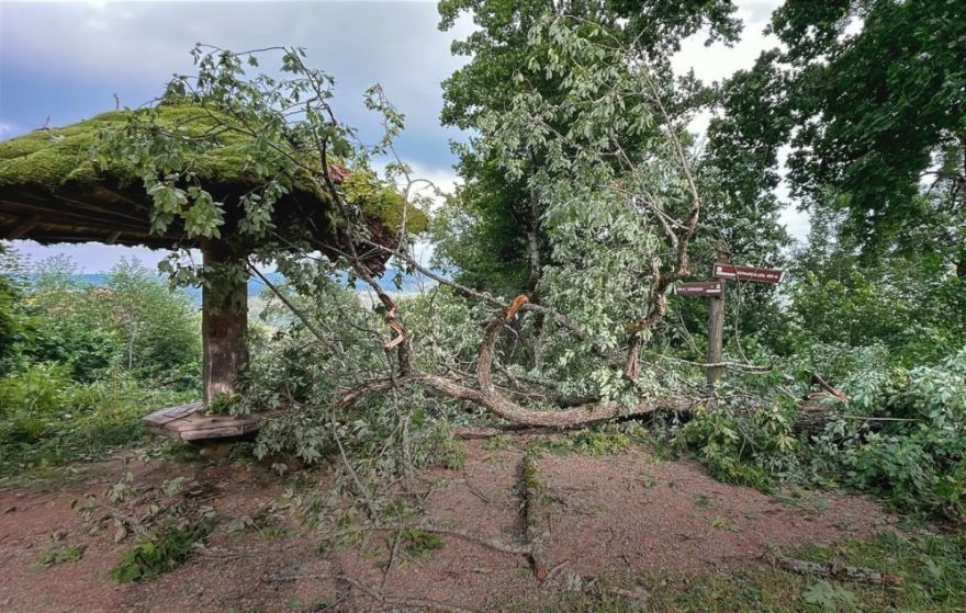 Pēc augusta vētras Gaujas Nacionālajā parkā sakoptas takas vairāk nekā 75 kilometru garumā