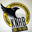 Attēls rakstam: Pēc KNAB pārbaudēm vairākām Saeimā pārstāvētām partijām nāksies maksāt soda naudas