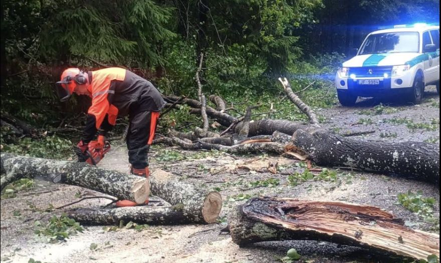 Pēc postošās vētras Ķekavas novads izziņo, kur vest nolauztos kokus un zarus
