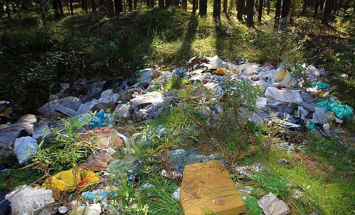Pētījums: Latvijā ne vairāk kā 20% iedzīvotāju rūpīgi piedomā par savas uzvedības ietekmi uz vidi
